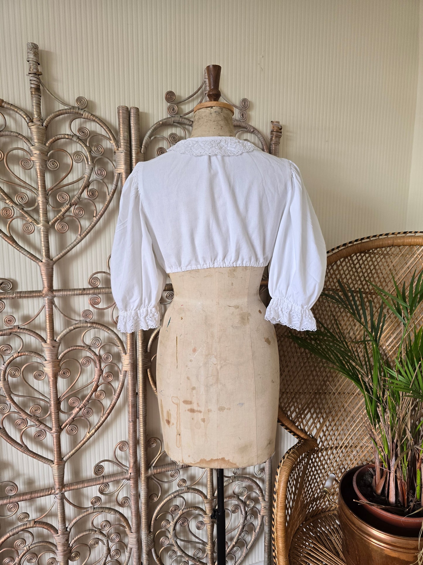 Vintage lace collar cotton crop blouse