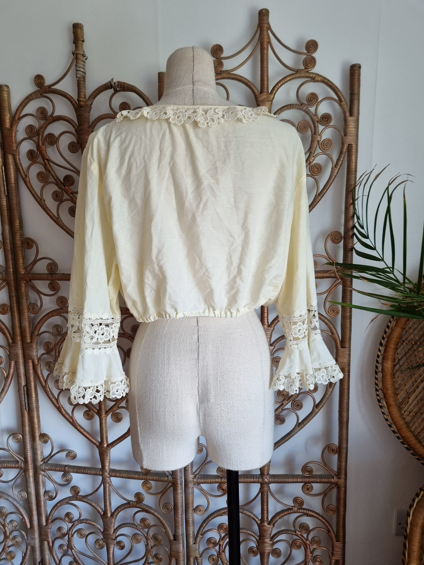 Vintage lace collar crop prairie blouse