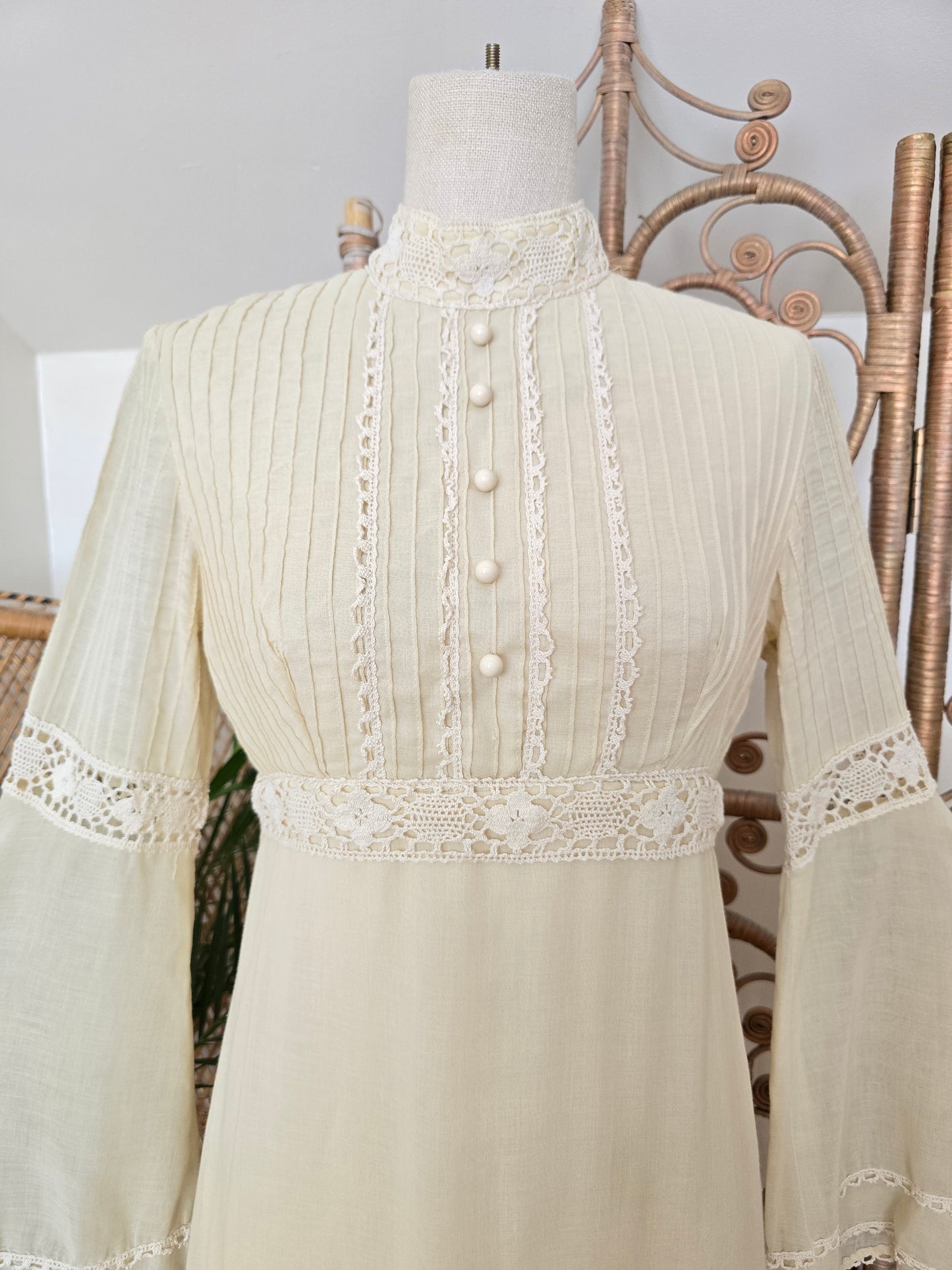 Vintage After six by Ronald Joyce 70s maxi dress