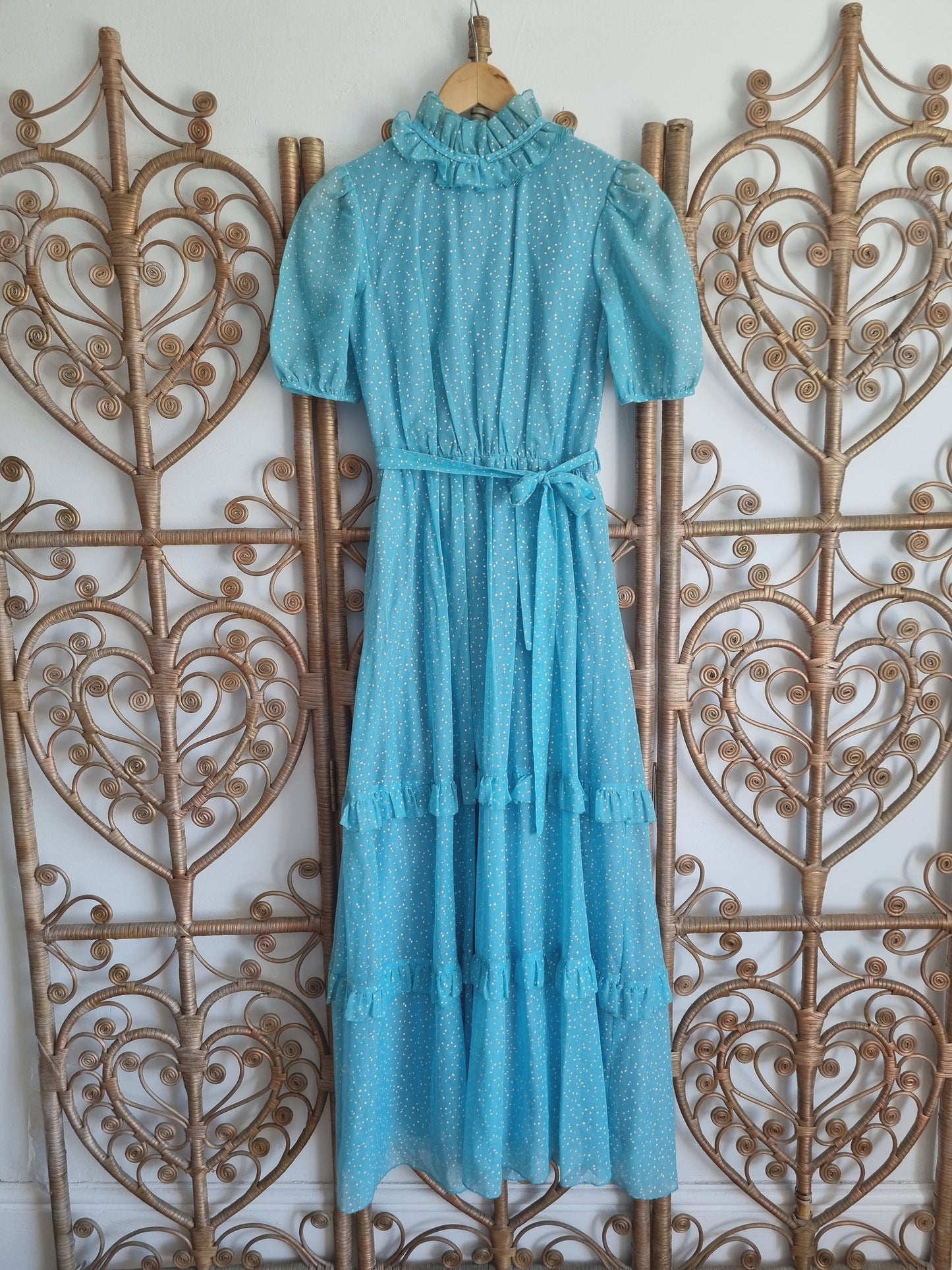 Vintage Prairie maxi dress S